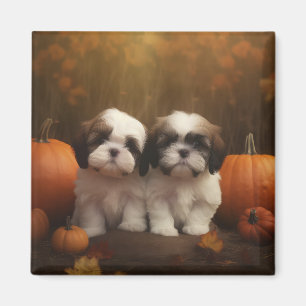 Imán Cachorro Shih Tzu Delicia de Otoño Calabaza
