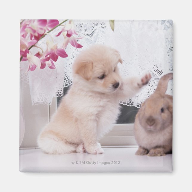 Imán Cachorro y conejo de orejas (Frente)