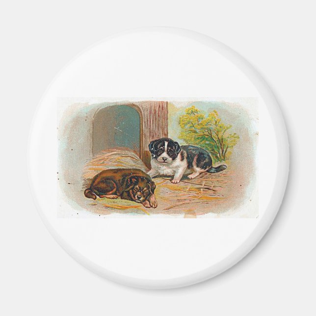 Imán Cachorros (Frente)