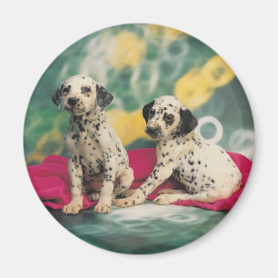 Imán Cachorros dálmicos