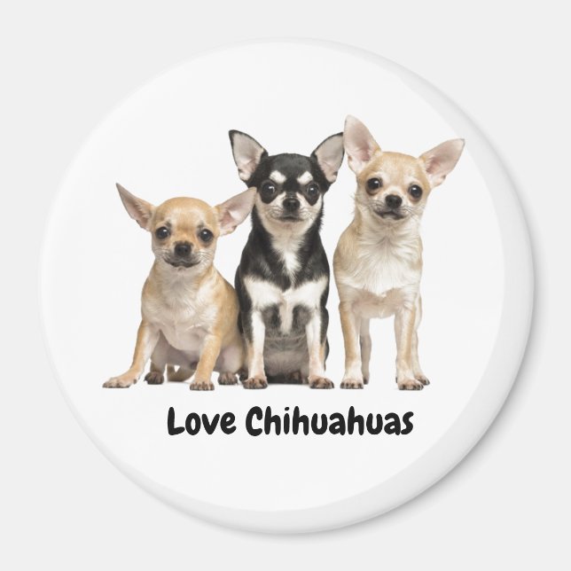 Imán Cachorros de Chihuahua (Frente)