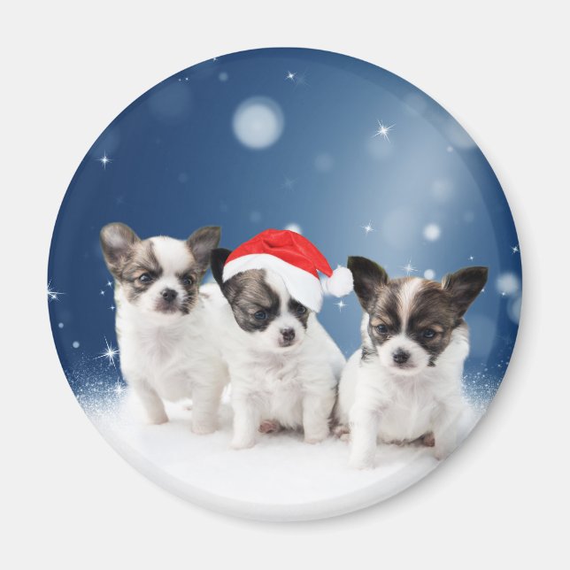 Imán Cachorros de Chihuahua con Navidades de Santa Hat (Frente)