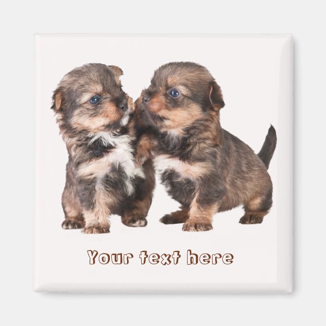 Imán Cachorros de Cute Yorkshire (Frente)