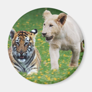 Imán Cachorros del león y de tigre en el juego