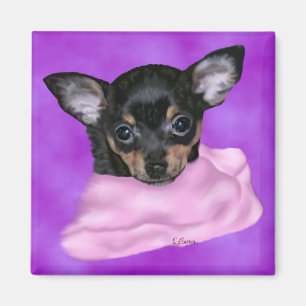 Imán Cachorros negros y tan chihuahua