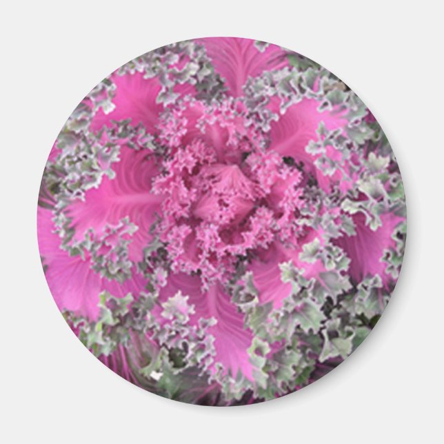 Imán Cactus (Frente)