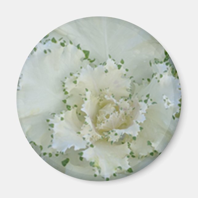 Imán Cactus (Frente)