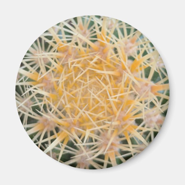 Imán Cactus (Frente)