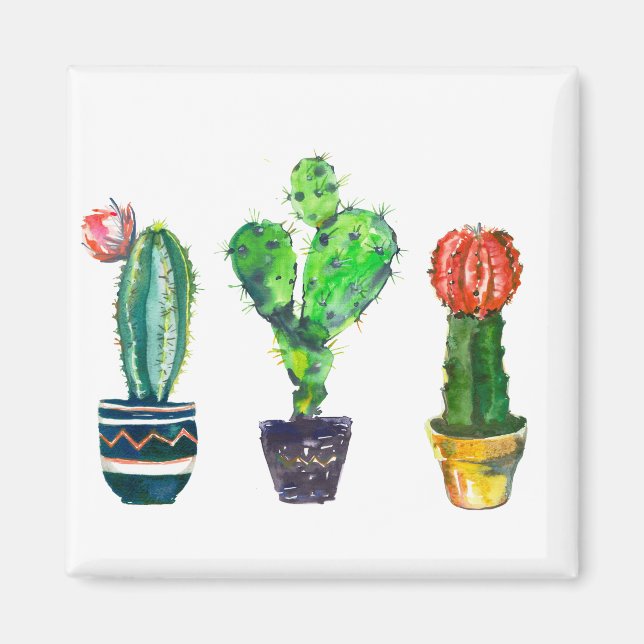 Imán cactus (Frente)