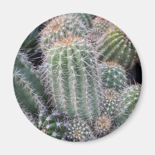 Imán Cactus