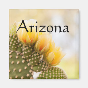 Imán Cactus amarillos florecen, Arizona