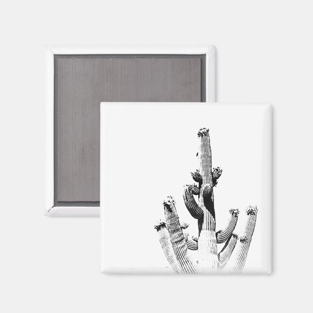 Imán Cactus Black White Photo Art Diversión Única De Fl (Anverso/Reverso)