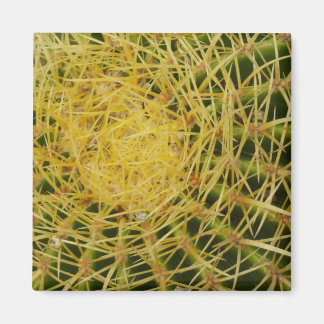 Imán Cactus Closeup Resumen Fotografía de la Naturaleza