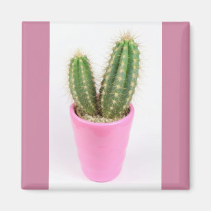 Imán Cactus de Cereus en una olla rosa