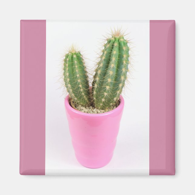 Imán Cactus de Cereus en una olla rosa (Frente)