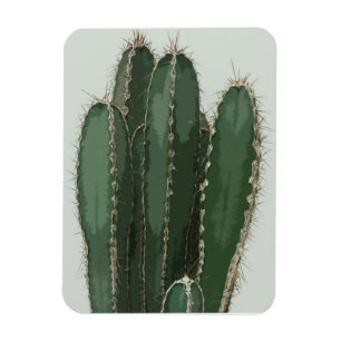 Imán Cactus de fotografía moderno