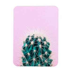 Imán Cactus de Prickley en rosa