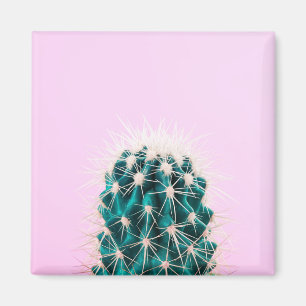 Imán Cactus de Prickley en rosa