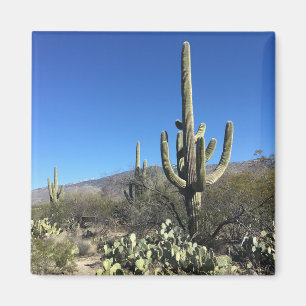 Imán Cactus de Saguaro
