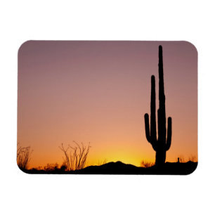 Imán Cactus del Saguaro en la puesta del sol