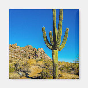 Imán Cactus derecho
