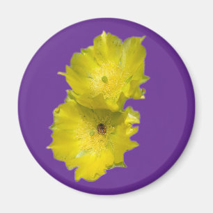 Imán Cactus Flowers
