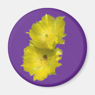 Imán Cactus Flowers