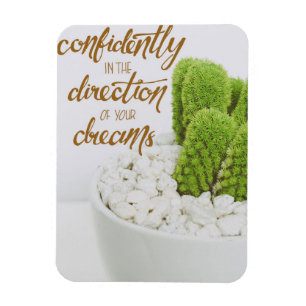 Imán Cactus Go Confidence