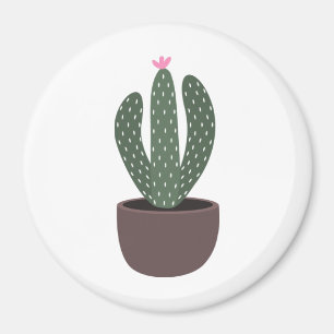 Imán Cactus in pot