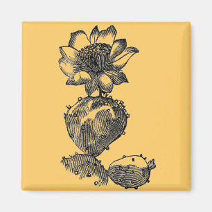 Imán Cactus Magnet