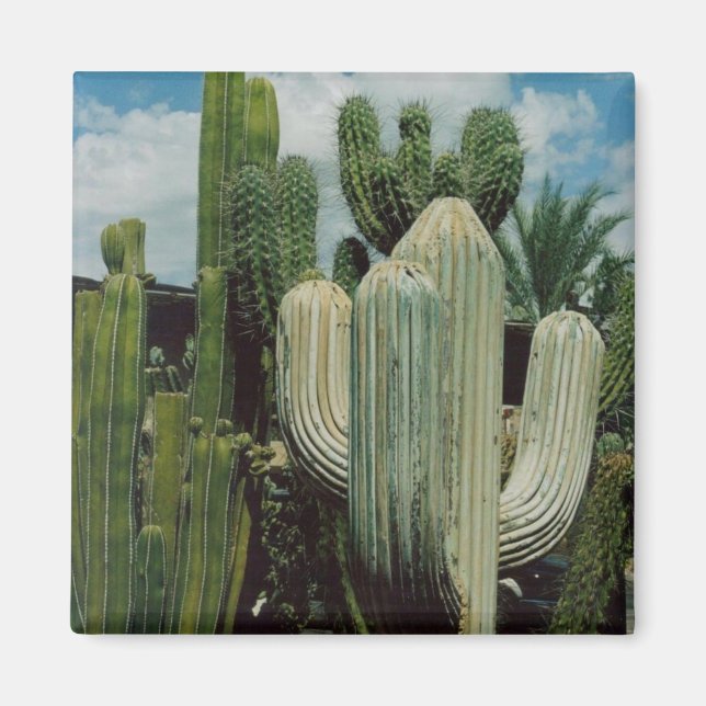 Imán Cactus Magnet (Frente)