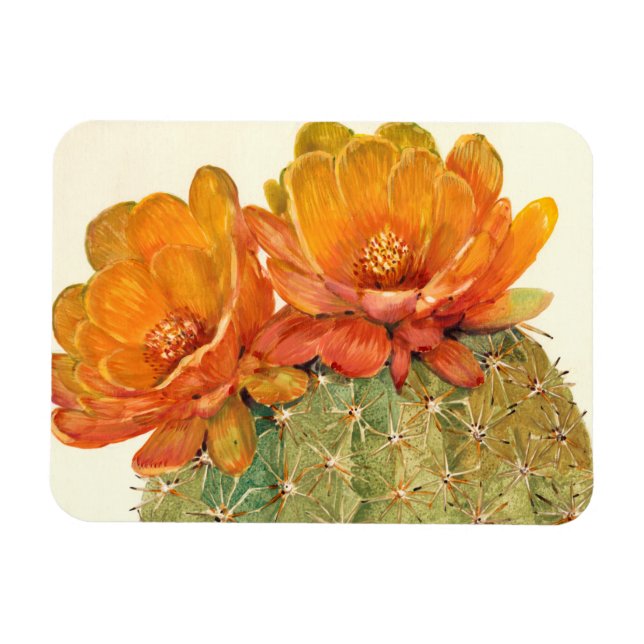 Imán Cactus Naranja Blossoms (Horizontal)