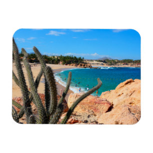 Imán Cactus On Rocky Hilltop Over Sandy Beach