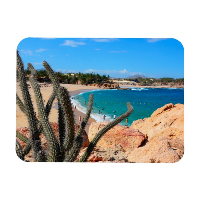Imán Cactus On Rocky Hilltop Over Sandy Beach (Horizontal)