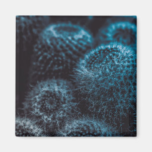 Imán Cactus oscuro