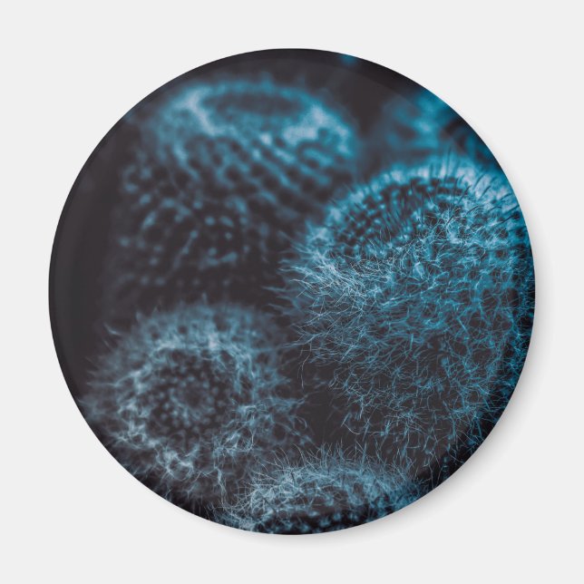 Imán Cactus oscuro (Frente)