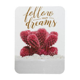 Imán Cactus Sigue Tus Sueños