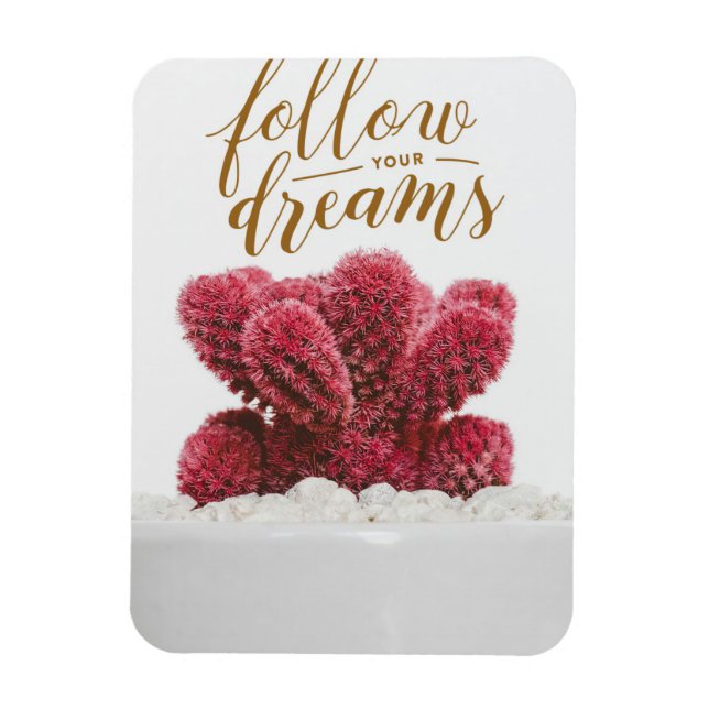 Imán Cactus Sigue Tus Sueños (Vertical)