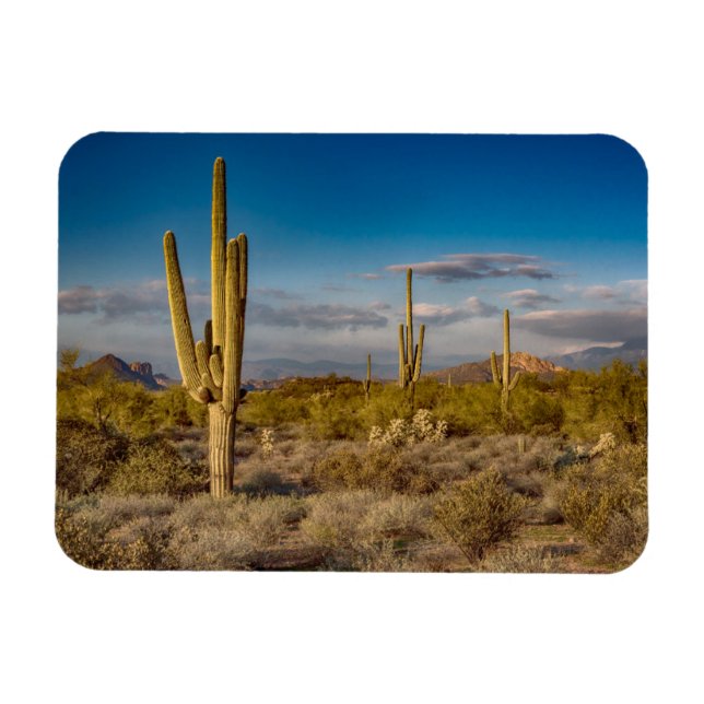 Imán Cactus Sunset en Arizona (Horizontal)