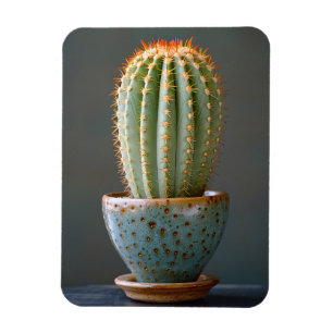 Imán Cactus verdes en una Verde azulada fotografía de c