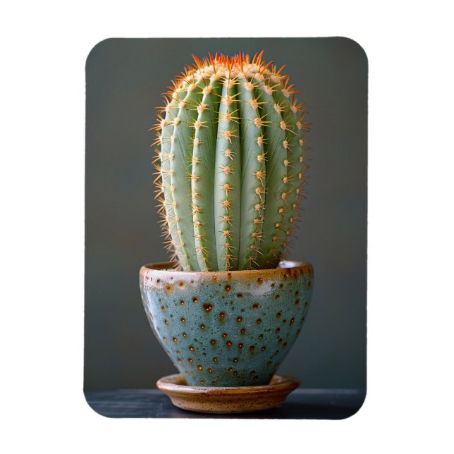 Imán Cactus verdes en una Verde azulada fotografía de c (Vertical)