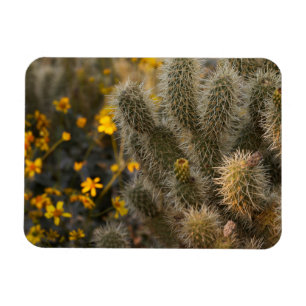 Imán cactus y flores silvestres