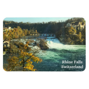 Imán Cae el rinoceronte en Suiza