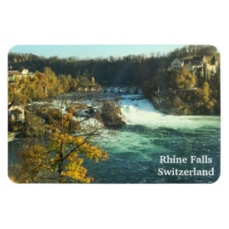 Imán Cae el rinoceronte en Suiza