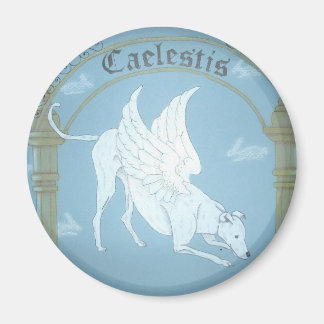 Imán Caelestis "Hound of Heaven"