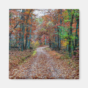 Imán Caer en el camino de tierra nuevo