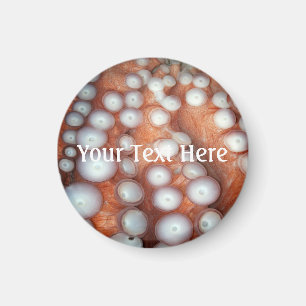 Imán Caer en el pulpo cercano