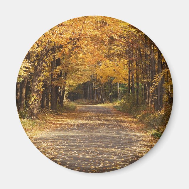 Imán Caer en hojas (Frente)