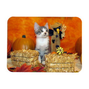 Imán Caída Adorable del corcho de cerdo / Gato de otoño