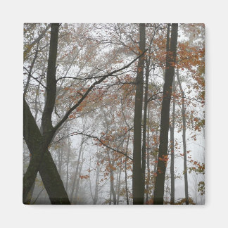 Imán Caída de niebla en la naturaleza otoñal de Pensilv